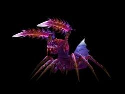 神獸蜘蛛